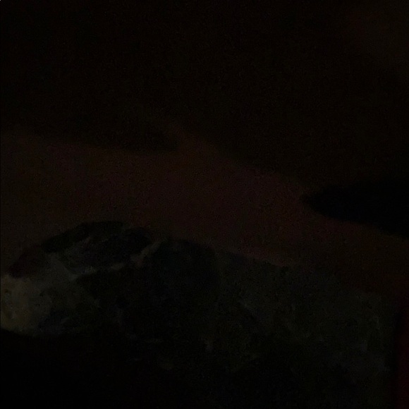 Meet your Posher, Shakal - Picture 1 of 1